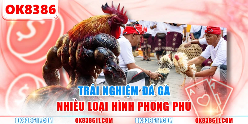 Trải nghiệm đá gà nhiều loại hình phong phú